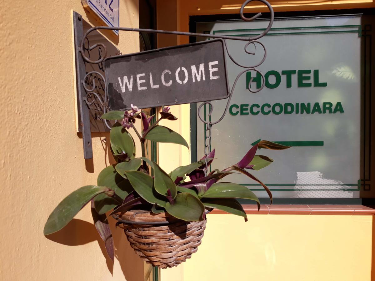 Cecco Di Nara Otel Massarosa Dış mekan fotoğraf